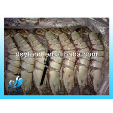 FROZEN BROWN TIGER PRAWN / TIGER SHRIMP